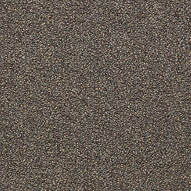 Chronicles Commercial Carpet by Philadelphia Commercial in the color Daily. Sample of greens carpet pattern and texture.