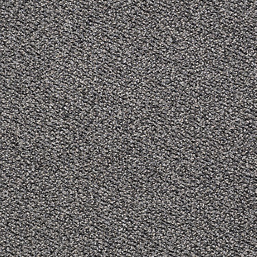 Chronicles Commercial Carpet by Philadelphia Commercial in the color Tribune. Sample of grays carpet pattern and texture.