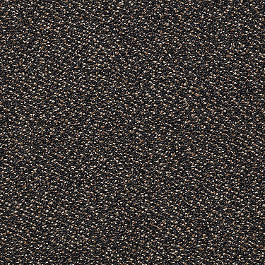 Chronicles Commercial Carpet by Philadelphia Commercial in the color Times. Sample of browns carpet pattern and texture.