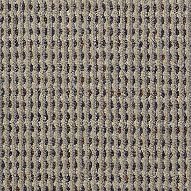 Functional Commercial Carpet by Philadelphia Commercial in the color Handy. Sample of beiges carpet pattern and texture.