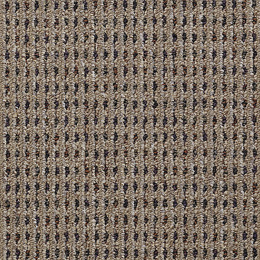 Functional Commercial Carpet by Philadelphia Commercial in the color Efficient. Sample of beiges carpet pattern and texture.