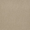 Baytowne Iii 30 Residential Carpet by Philadelphia Commercial in the color Stone Dust. Sample of beiges carpet pattern and texture.