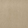 Baytowne Iii 30 Residential Carpet by Philadelphia Commercial in the color Biscotti. Sample of beiges carpet pattern and texture.