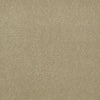 Baytowne Iii 30 Residential Carpet by Philadelphia Commercial in the color Grasscloth. Sample of beiges carpet pattern and texture.