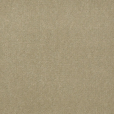 Baytowne Iii 30 Residential Carpet by Philadelphia Commercial in the color Grasscloth. Sample of beiges carpet pattern and texture.