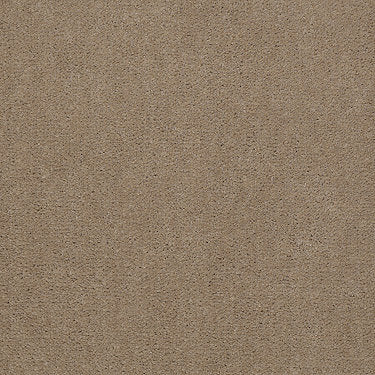 Baytowne Iii 30 Residential Carpet by Philadelphia Commercial in the color Prairie. Sample of beiges carpet pattern and texture.