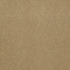 Baytowne Iii 30 Residential Carpet by Philadelphia Commercial in the color Camel. Sample of beiges carpet pattern and texture.