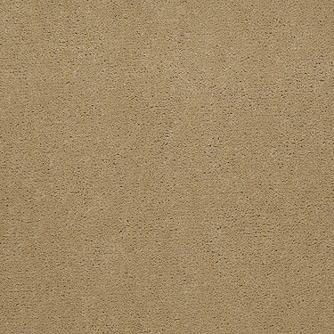 Baytowne Iii 30 Residential Carpet by Philadelphia Commercial in the color Camel. Sample of beiges carpet pattern and texture.