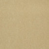 Baytowne Iii 30 Residential Carpet by Philadelphia Commercial in the color Corn Silk. Sample of beiges carpet pattern and texture.