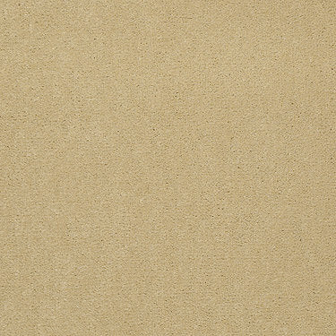 Baytowne Iii 30 Residential Carpet by Philadelphia Commercial in the color Corn Silk. Sample of beiges carpet pattern and texture.