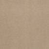 Baytowne Iii 30 Residential Carpet by Philadelphia Commercial in the color Nacho. Sample of beiges carpet pattern and texture.