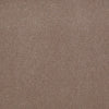 Baytowne Iii 30 Residential Carpet by Philadelphia Commercial in the color Ash Tan. Sample of beiges carpet pattern and texture.