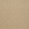 Baytowne Iii 30 Residential Carpet by Philadelphia Commercial in the color Honey Tone. Sample of beiges carpet pattern and texture.