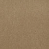 Baytowne Iii 30 Residential Carpet by Philadelphia Commercial in the color Smokey Tan. Sample of beiges carpet pattern and texture.