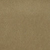 Baytowne Iii 30 Residential Carpet by Philadelphia Commercial in the color Tuscan Gold. Sample of beiges carpet pattern and texture.