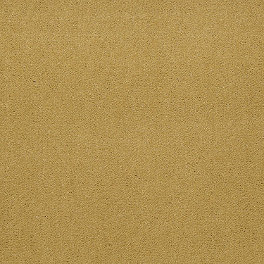 Baytowne Iii 30 Residential Carpet by Philadelphia Commercial in the color Tuscan Sun. Sample of golds carpet pattern and texture.