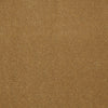 Baytowne Iii 30 Residential Carpet by Philadelphia Commercial in the color Harvest Moon. Sample of golds carpet pattern and texture.