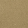 Baytowne Iii 30 Residential Carpet by Philadelphia Commercial in the color Suede Gold. Sample of golds carpet pattern and texture.