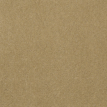 Baytowne Iii 30 Residential Carpet by Philadelphia Commercial in the color Suede Gold. Sample of golds carpet pattern and texture.