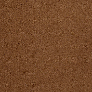 Baytowne Iii 30 Residential Carpet by Philadelphia Commercial in the color Toast. Sample of golds carpet pattern and texture.