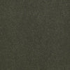 Baytowne Iii 30 Residential Carpet by Philadelphia Commercial in the color Palm Breeze. Sample of greens carpet pattern and texture.
