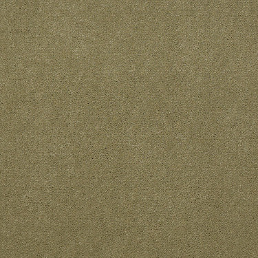 Baytowne Iii 30 Residential Carpet by Philadelphia Commercial in the color French Olive. Sample of greens carpet pattern and texture.