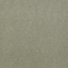 Baytowne Iii 30 Residential Carpet by Philadelphia Commercial in the color Kiwi Ice. Sample of greens carpet pattern and texture.