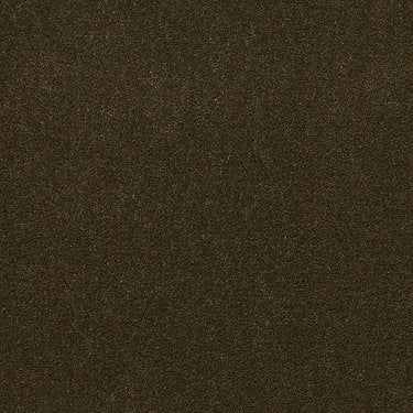 Baytowne Iii 30 Residential Carpet by Philadelphia Commercial in the color Mount Olive. Sample of greens carpet pattern and texture.