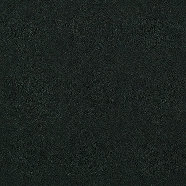 Baytowne Iii 30 Residential Carpet by Philadelphia Commercial in the color Hedge Green. Sample of greens carpet pattern and texture.