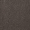 Baytowne Iii 30 Residential Carpet by Philadelphia Commercial in the color Desert Stone. Sample of grays carpet pattern and texture.