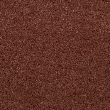 Baytowne Iii 30 Residential Carpet by Philadelphia Commercial in the color Allspice. Sample of oranges carpet pattern and texture.