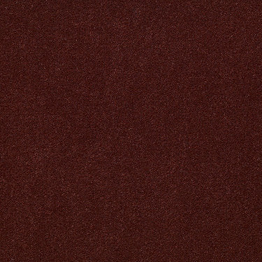 Baytowne Iii 30 Residential Carpet by Philadelphia Commercial in the color Canyon Dust. Sample of browns carpet pattern and texture.