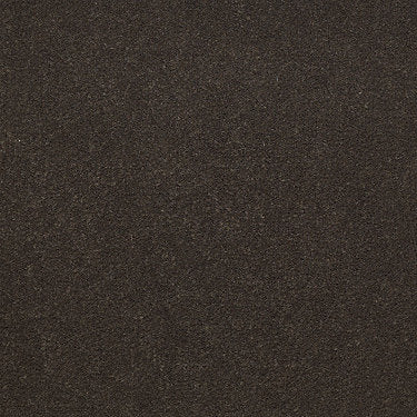 Baytowne Iii 30 Residential Carpet by Philadelphia Commercial in the color Marsh. Sample of browns carpet pattern and texture.