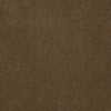 Baytowne Iii 30 Residential Carpet by Philadelphia Commercial in the color Olive Twist. Sample of browns carpet pattern and texture.