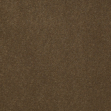 Baytowne Iii 30 Residential Carpet by Philadelphia Commercial in the color Olive Twist. Sample of browns carpet pattern and texture.
