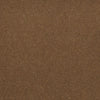 Baytowne Iii 30 Residential Carpet by Philadelphia Commercial in the color Amber Tan. Sample of browns carpet pattern and texture.