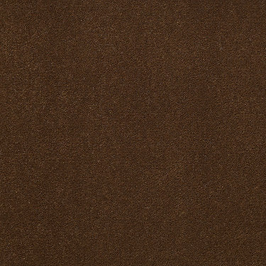 Baytowne Iii 30 Residential Carpet by Philadelphia Commercial in the color Cinnamon Sugar. Sample of browns carpet pattern and texture.