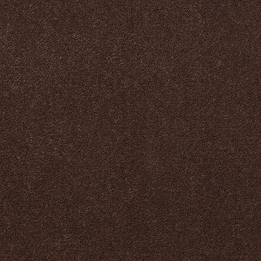 Baytowne Iii 30 Residential Carpet by Philadelphia Commercial in the color Root Beer. Sample of browns carpet pattern and texture.
