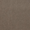Baytowne Iii 30 Residential Carpet by Philadelphia Commercial in the color Bashful Taupe. Sample of browns carpet pattern and texture.