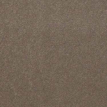 Baytowne Iii 30 Residential Carpet by Philadelphia Commercial in the color Bashful Taupe. Sample of browns carpet pattern and texture.