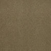 Baytowne Iii 30 Residential Carpet by Philadelphia Commercial in the color Golden Sage. Sample of browns carpet pattern and texture.