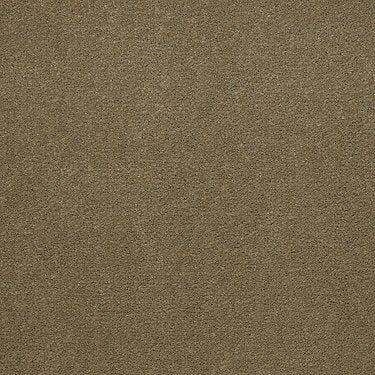 Baytowne Iii 30 Residential Carpet by Philadelphia Commercial in the color Golden Sage. Sample of browns carpet pattern and texture.