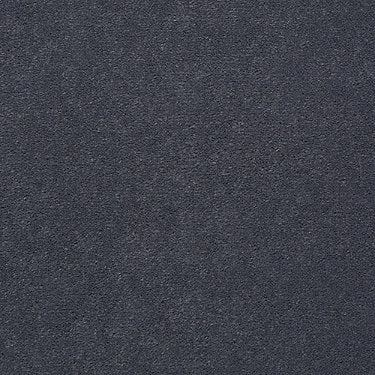 Baytowne Iii 30 Residential Carpet by Philadelphia Commercial in the color Provence Gray. Sample of violets carpet pattern and texture.