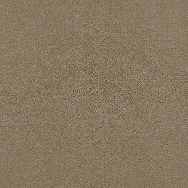 Baytowne Iii 36 Residential Carpet by Philadelphia Commercial in the color Sand Dollar. Sample of beiges carpet pattern and texture.