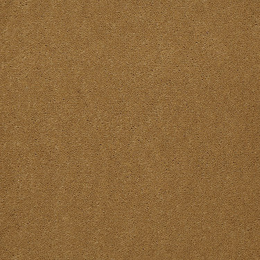 Baytowne Iii 36 Residential Carpet by Philadelphia Commercial in the color Harvest Moon. Sample of golds carpet pattern and texture.