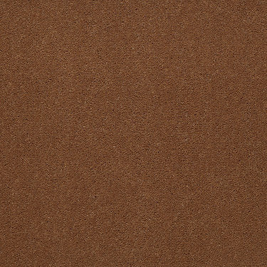 Baytowne Iii 36 Residential Carpet by Philadelphia Commercial in the color Toast. Sample of golds carpet pattern and texture.
