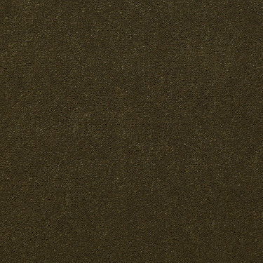 Baytowne Iii 36 Residential Carpet by Philadelphia Commercial in the color Mount Olive. Sample of greens carpet pattern and texture.
