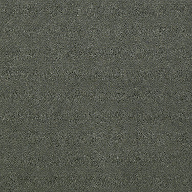 Baytowne Iii 36 Residential Carpet by Philadelphia Commercial in the color Crystal Sea. Sample of greens carpet pattern and texture.