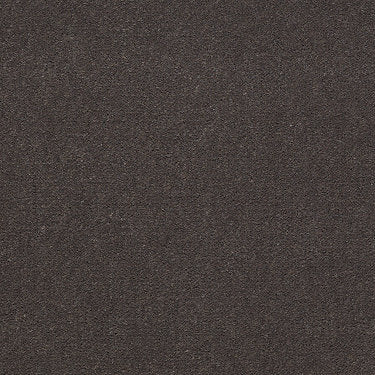 Baytowne Iii 36 Residential Carpet by Philadelphia Commercial in the color Desert Stone. Sample of grays carpet pattern and texture.