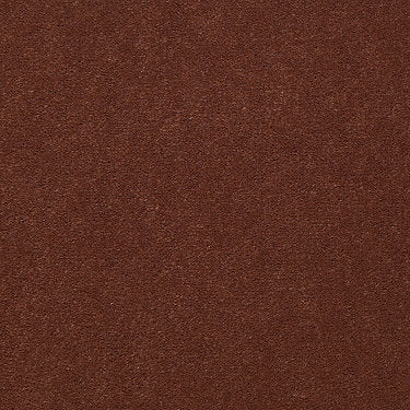 Baytowne Iii 36 Residential Carpet by Philadelphia Commercial in the color Allspice. Sample of oranges carpet pattern and texture.